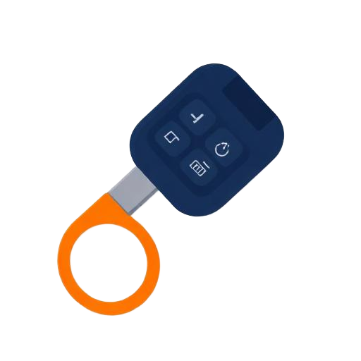 Car key with keyring